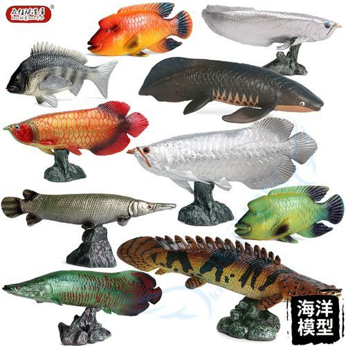 恐龍魚(yú)有幾種品種圖片及名稱