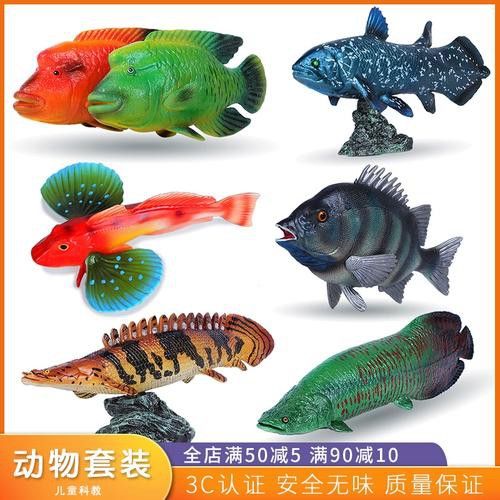 恐龍魚(yú)有幾種品種圖片及名稱