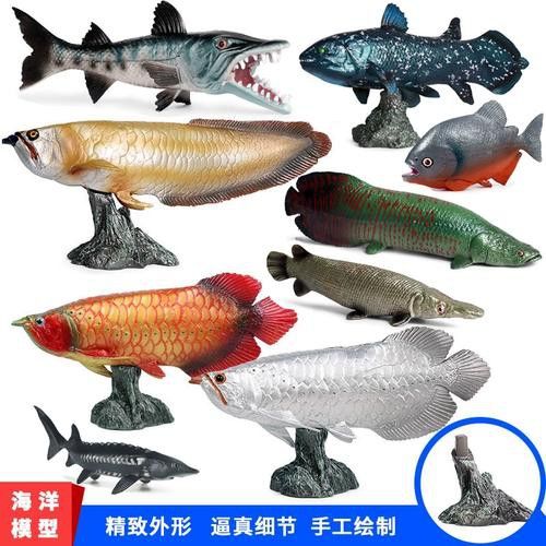 恐龍魚(yú)有幾種品種圖片及名稱