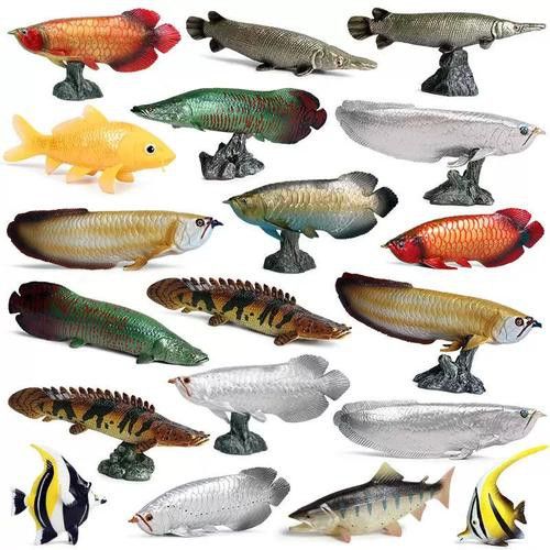 恐龍魚(yú)有幾種品種圖片及名稱
