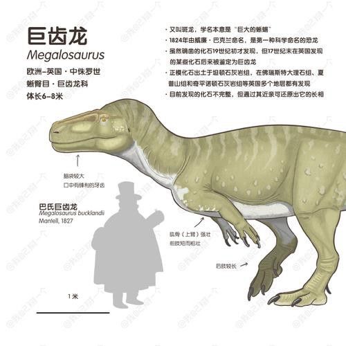 恐龍魚(yú)有幾種品種圖片及名稱