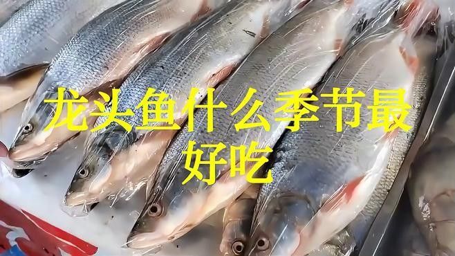 龍頭魚的最佳食用季節