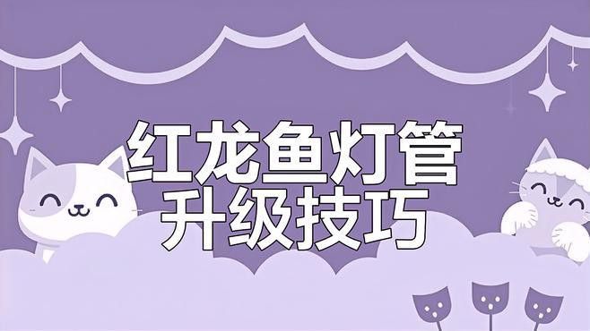 養(yǎng)龍魚(yú)用什么燈顏色最好