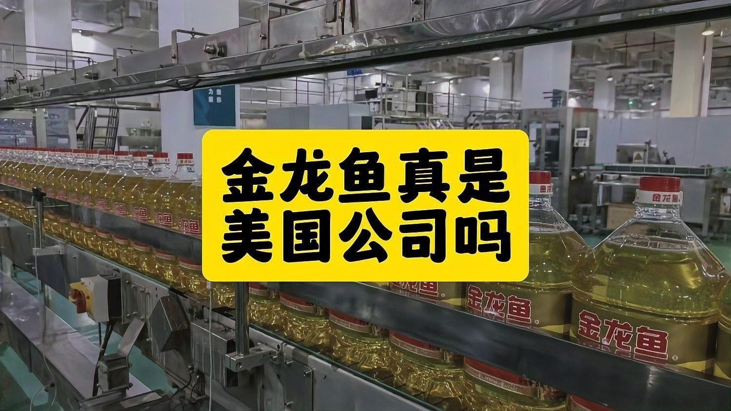 金龍魚是中糧的品牌嗎 金龍魚是中糧的品牌嗎 龍魚百科 第1張