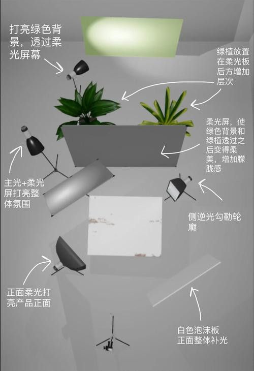 給我推薦一些大龍蝦生態攝影作品