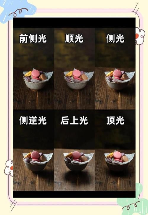 給我推薦一些大龍蝦生態攝影作品