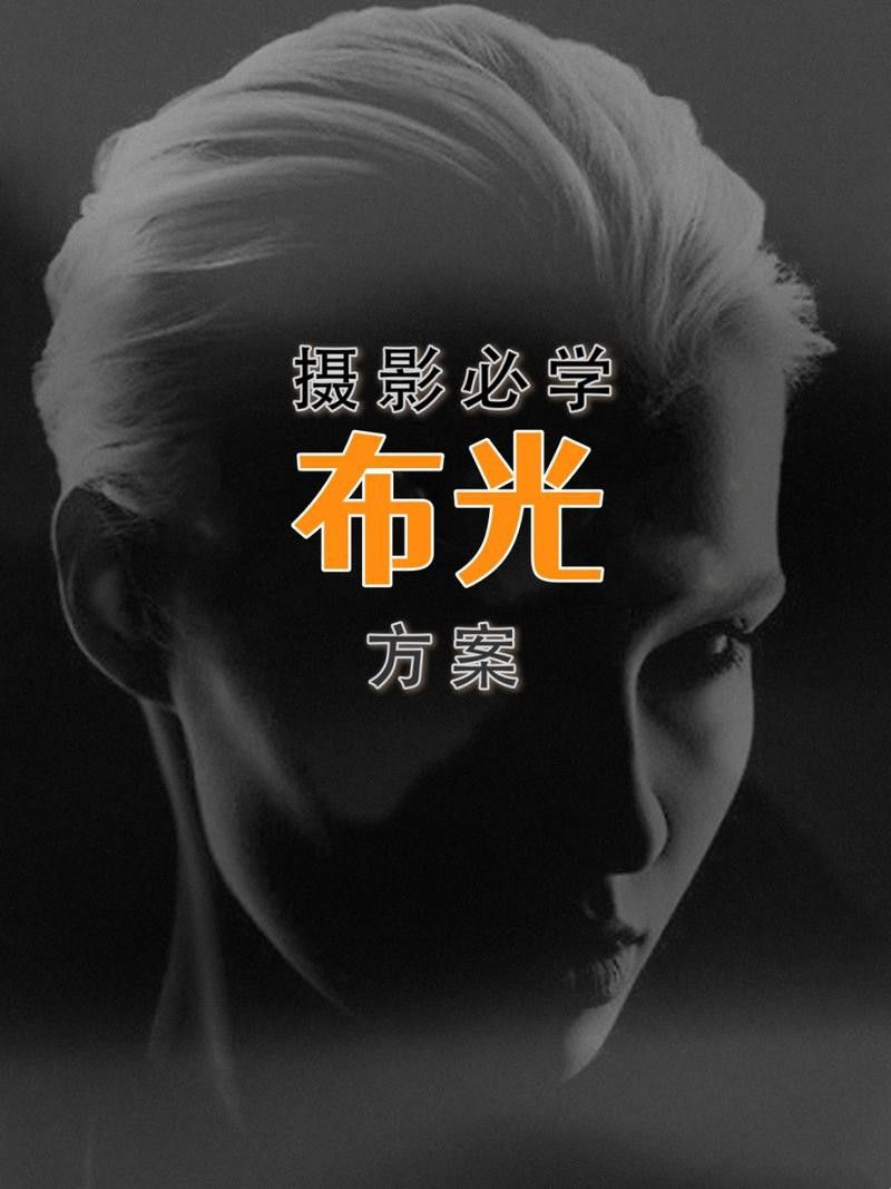 給我推薦一些大龍蝦生態攝影作品