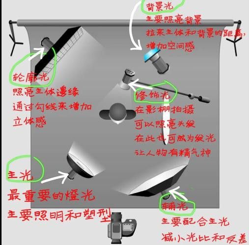 給我推薦一些大龍蝦生態攝影作品