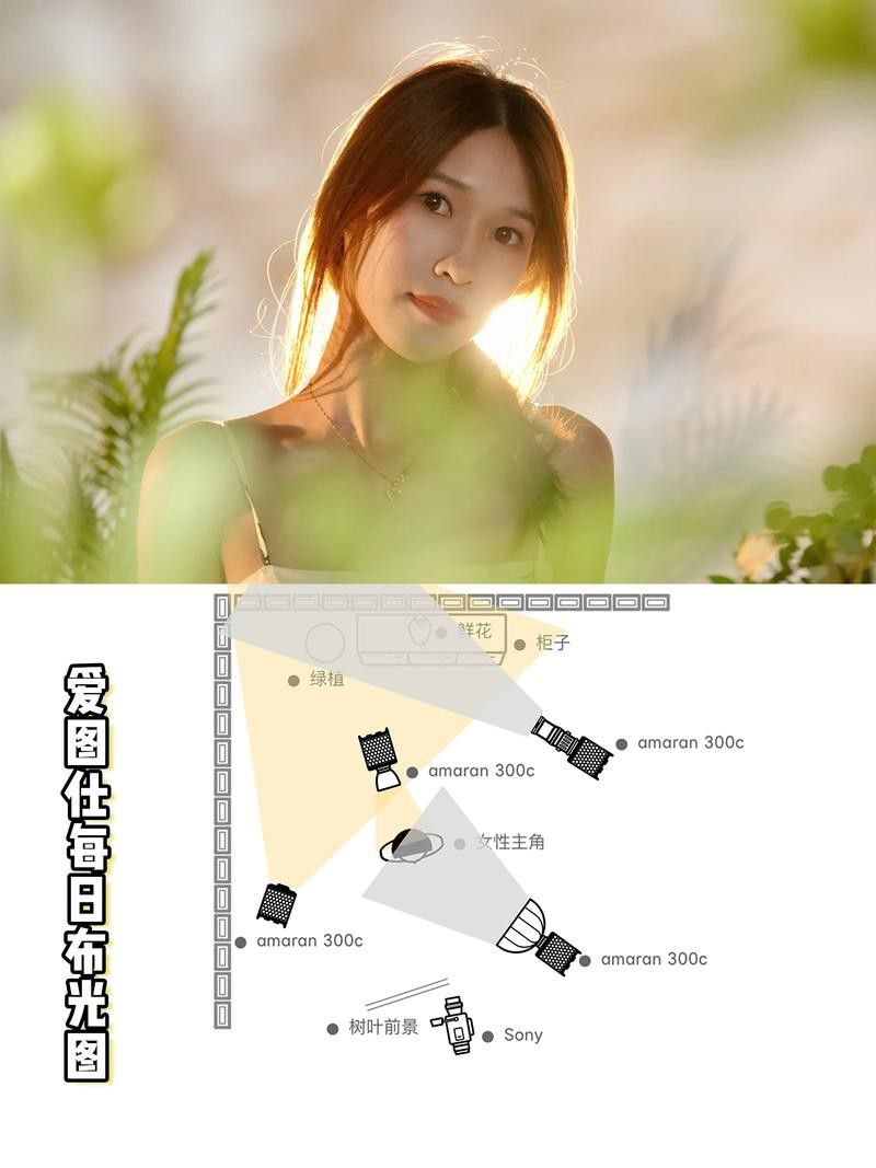 給我推薦一些大龍蝦生態攝影作品