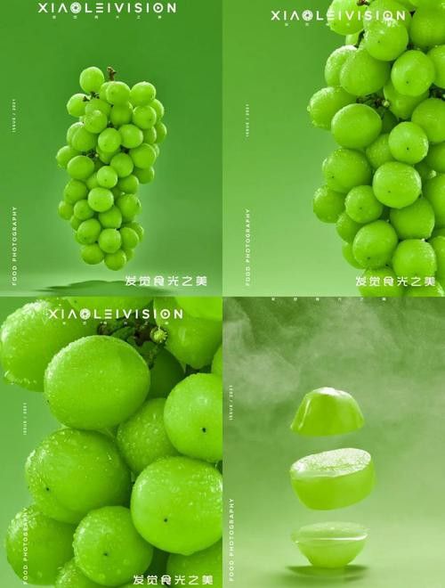 給我推薦一些大龍蝦生態攝影作品