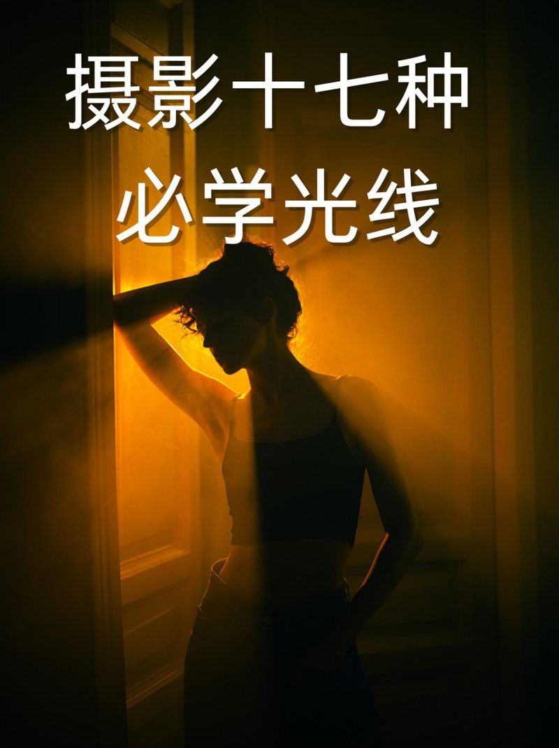 給我推薦一些大龍蝦生態攝影作品