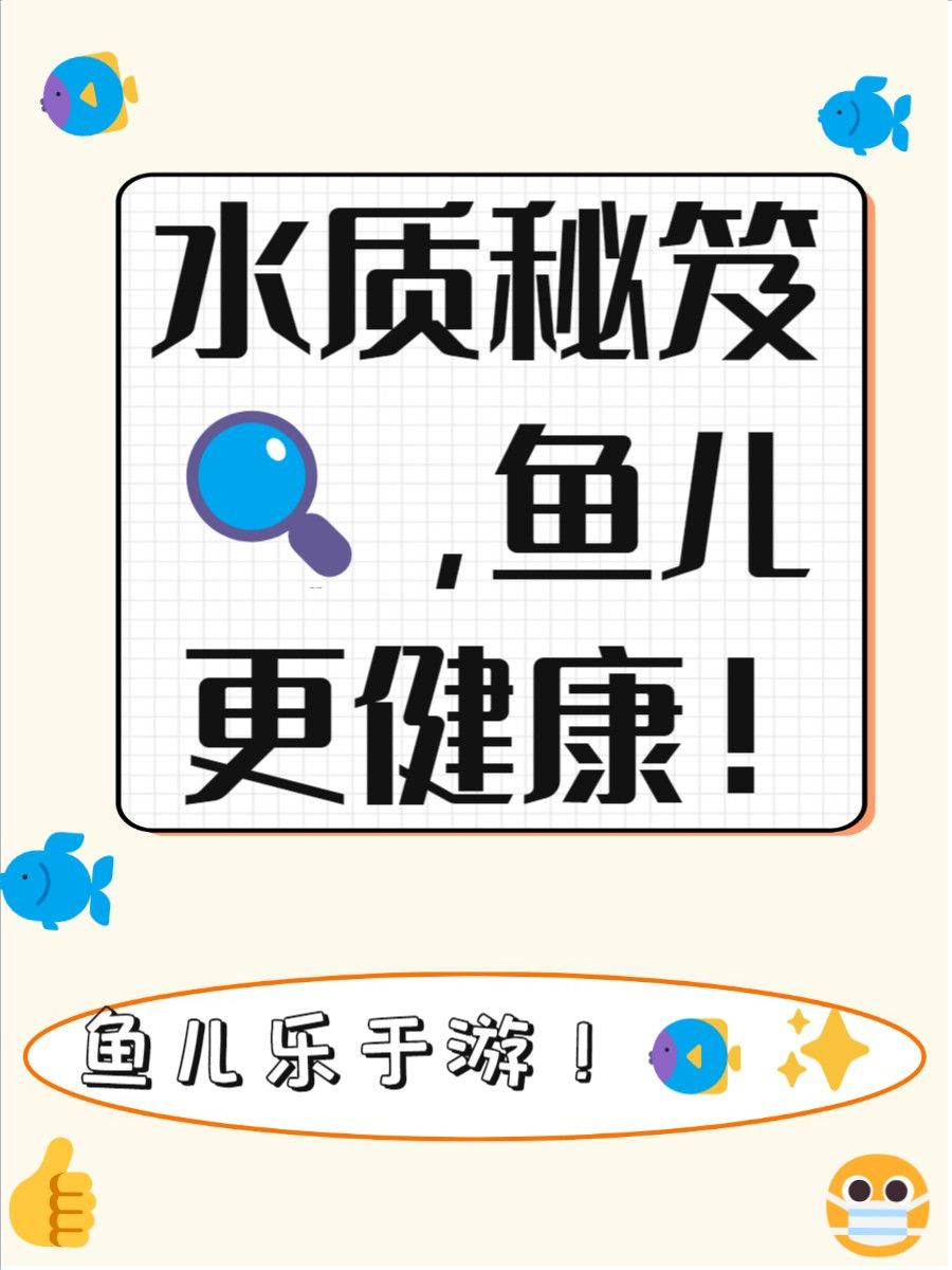 如何維持水質穩定？ 如何維持水質穩定？ 龍魚百科 第2張