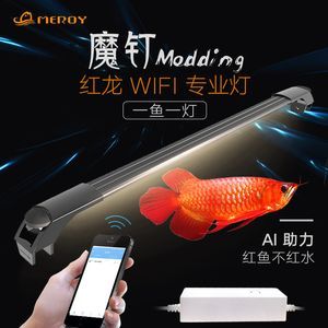龍魚發色燈烤色燈：適合龍魚發色的燈類型及其特點 龍魚發色燈烤色燈：適合龍魚發色的燈類型及其特點 龍魚百科 第4張