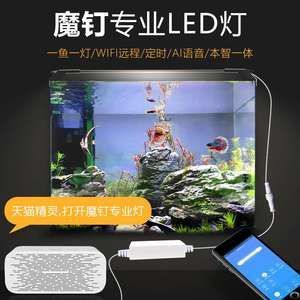 龍魚發色燈烤色燈：適合龍魚發色的燈類型及其特點 龍魚發色燈烤色燈：適合龍魚發色的燈類型及其特點 龍魚百科 第5張