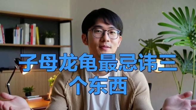 龍龜擺放有哪些禁忌