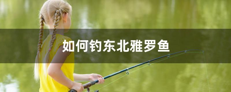 如何釣東北雅羅魚 如何釣東北雅羅魚 龍魚百科