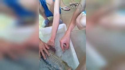 金龍魚做手術可以吃嗎有營養嗎：金龍魚對于手術后的傷口愈合和增強體質是有益的