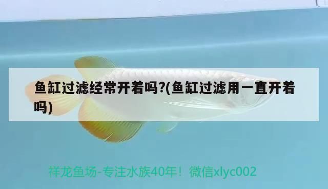 魚缸過濾經常開著嗎?(魚缸過濾用一直開著嗎)