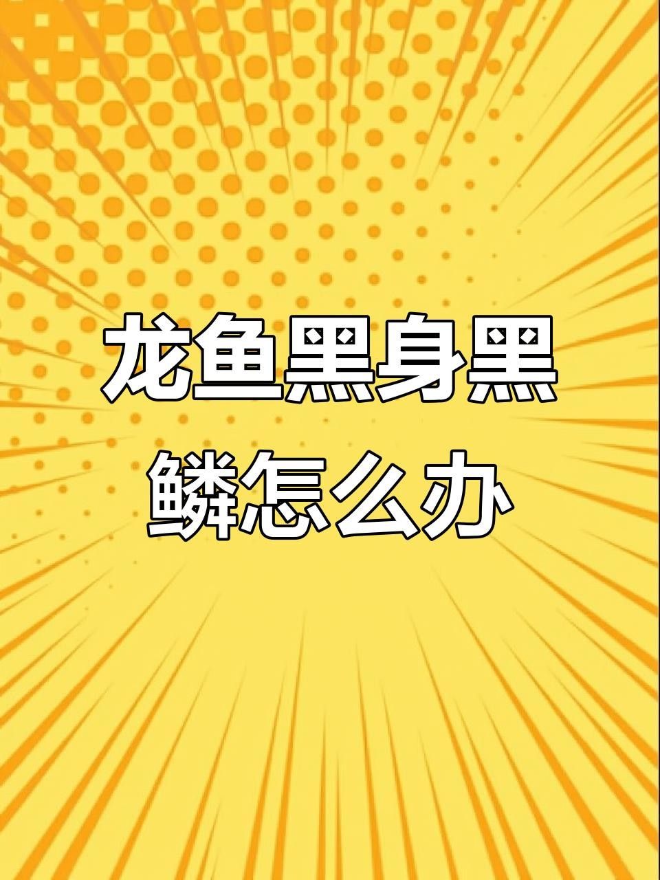 金龍魚鱗片發黑如何治療？