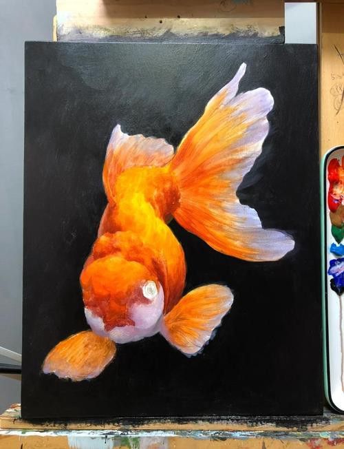 金龍魚畫有哪些顏色選擇？ 金龍魚畫有哪些顏色選擇？ 龍魚百科 第4張