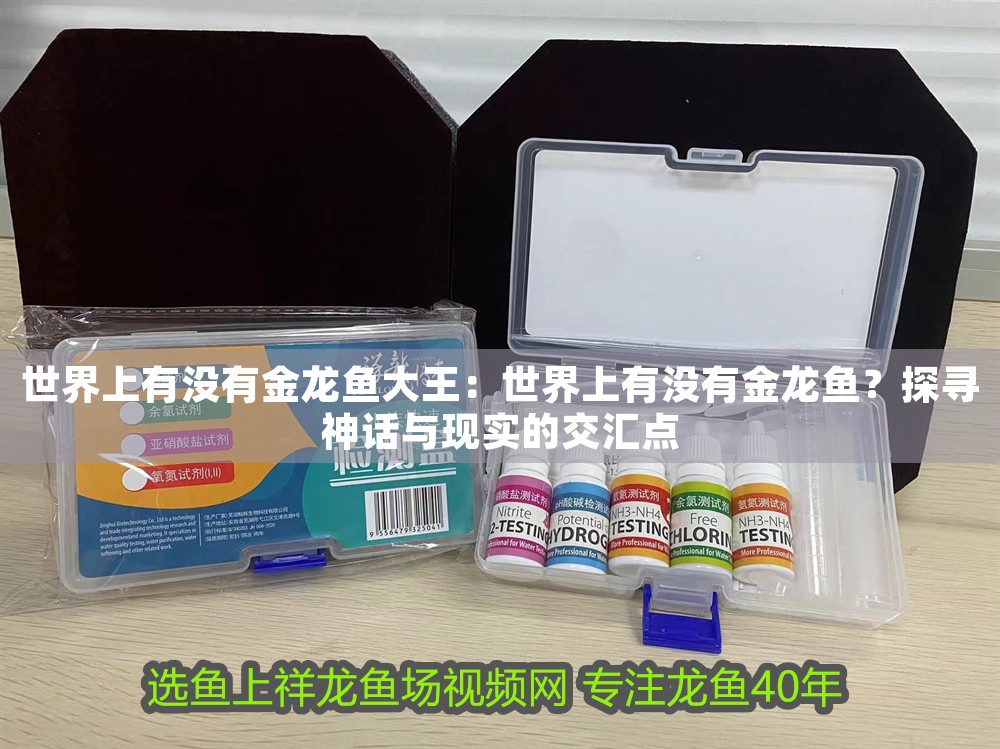 世界上有沒有金龍魚大王：世界上有沒有金龍魚？探尋神話與現實的交匯點