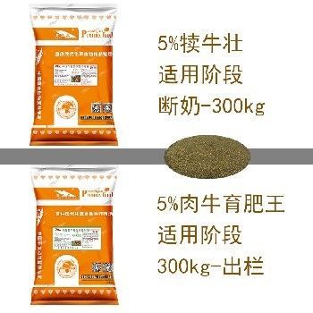 世界上有沒有金龍魚大王：世界上有沒有金龍魚？探尋神話與現實的交匯點