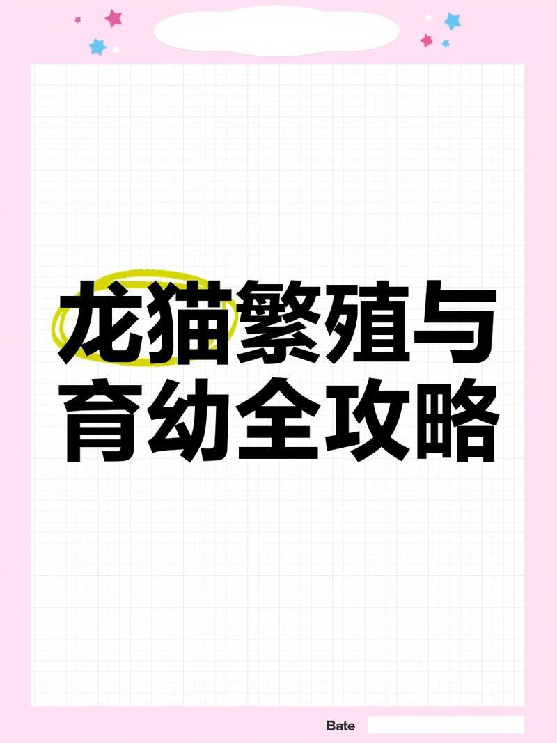 龍貓繁殖需要準備什么？