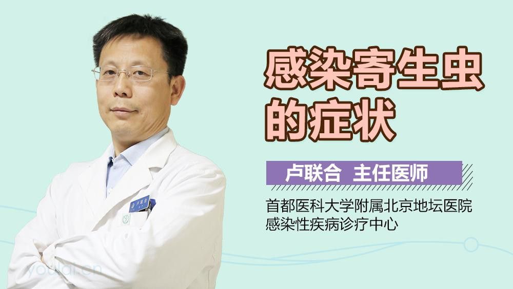 貓可以吃龍魚嗎