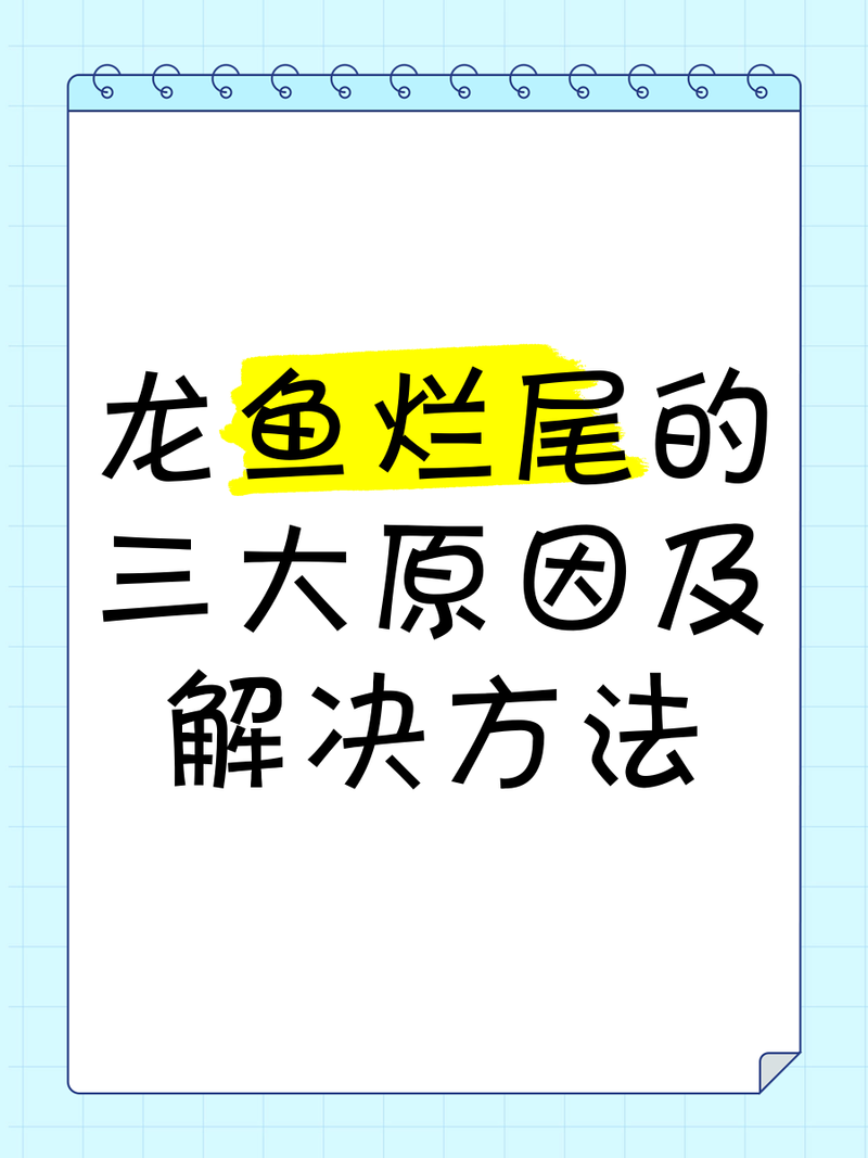 如何治療龍魚爛尾？