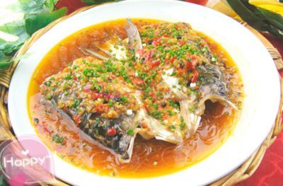 黃龍魚能長多大【黃龍魚的體型大小】