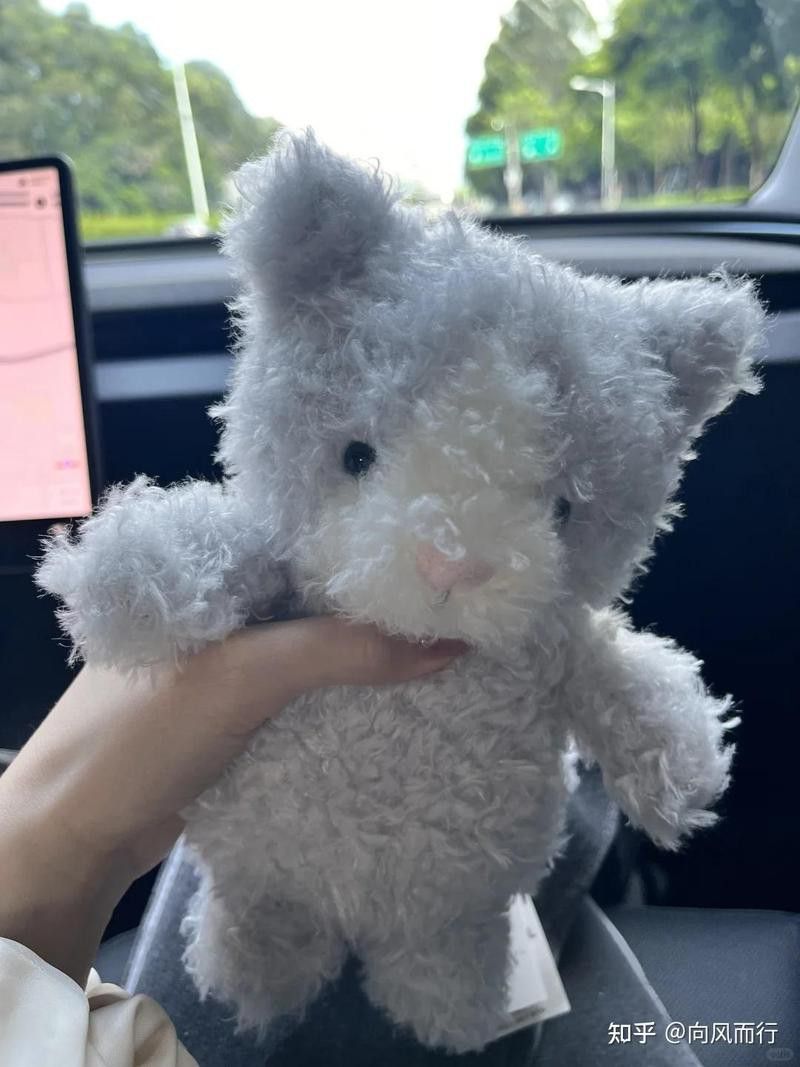 如何清潔和保養龍貓玩具？