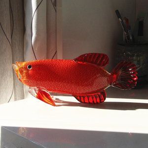 辦公室養金龍魚有什么講究嗎女生：辦公室養金龍魚有什么講究