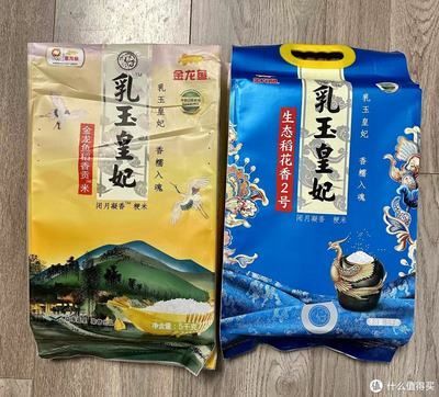 金龍魚吃多少會飽：金龍魚一天喂多少量
