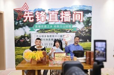 龍魚苗哪里有賣的，龍魚苗品種特性有哪些