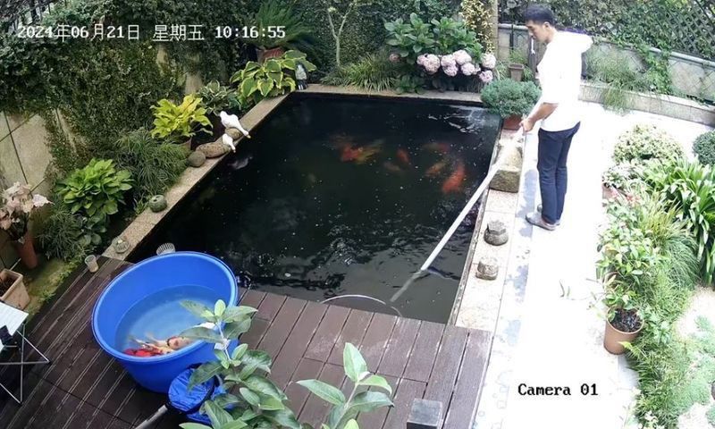錦鯉魚論壇