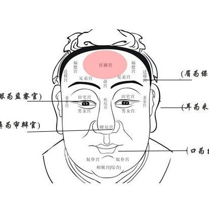 面相分析