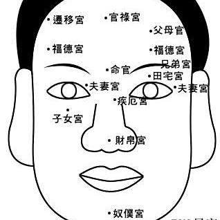 面相分析