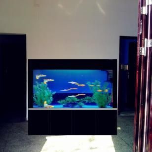 武漢魚缸批發市場（武漢魚缸市場主要有光谷、南湖和漢正街三個地方）
