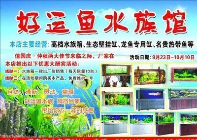 龍魚缸那個(gè)牌子最好用：高檔龍魚缸品牌推薦 龍魚缸那個(gè)牌子最好用：高檔龍魚缸品牌推薦 龍魚百科 第1張