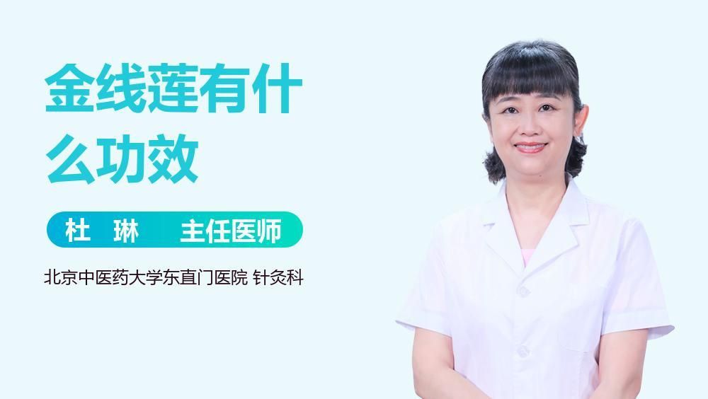 金線蓮 龍魚百科 第4張 金線蓮 金線蓮 龍魚百科 第4張