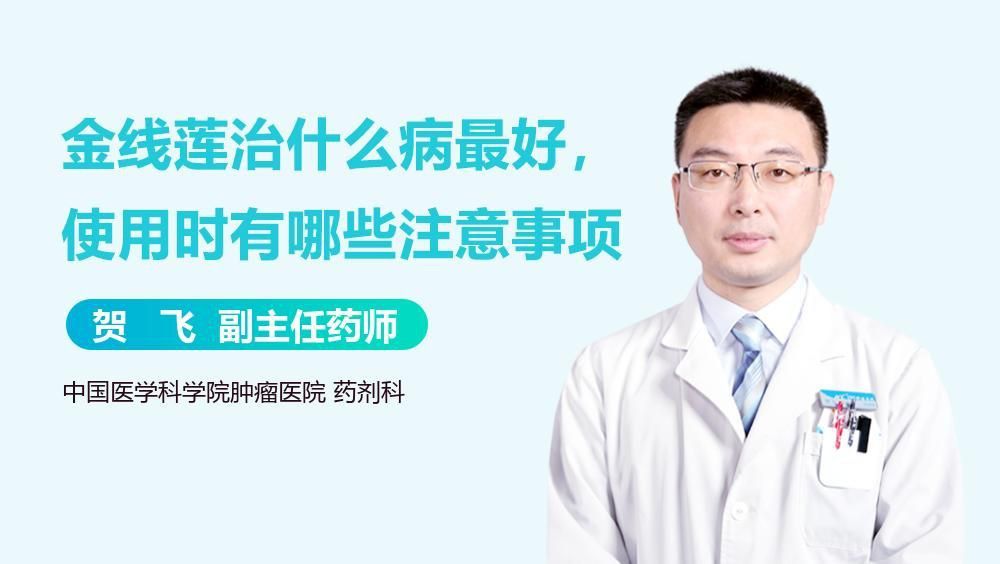 金線蓮 龍魚百科 第2張 金線蓮 金線蓮 龍魚百科 第2張