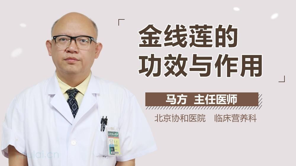 金線蓮 龍魚百科 第6張 金線蓮 金線蓮 龍魚百科 第6張