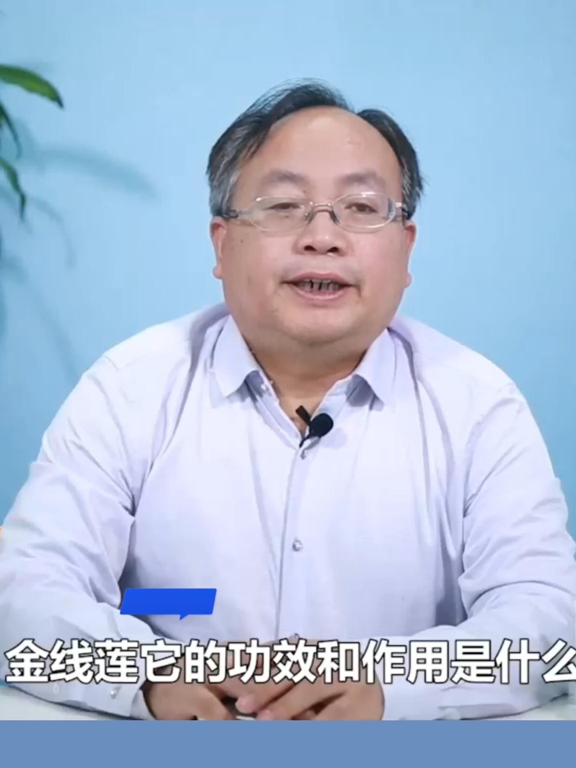 金線蓮 龍魚百科 第7張 金線蓮 金線蓮 龍魚百科 第7張
