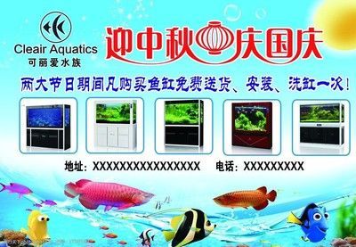 可麗愛魚缸安裝全過程教程（魚缸過濾系統維護技巧）