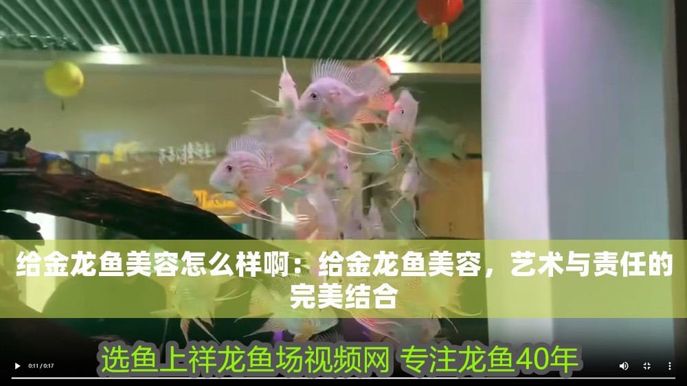 給金龍魚美容怎么樣啊：給金龍魚美容，藝術與責任的完美結合 給金龍魚美容怎么樣啊：給金龍魚美容，藝術與責任的完美結合 龍魚百科 第1張