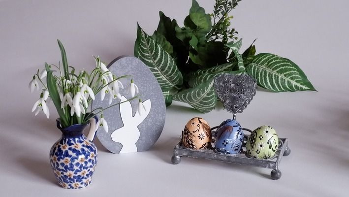 杰西卡恐龍魚繁殖期飼料選擇：杰西卡恐龍魚繁殖期的飼料選擇應當注重營養的全面性和均衡性