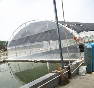 祥龍魚場觀賞魚怎么養(yǎng)的好（新手養(yǎng)觀賞魚怎么養(yǎng)殖觀賞魚的日常管理要點(diǎn)）