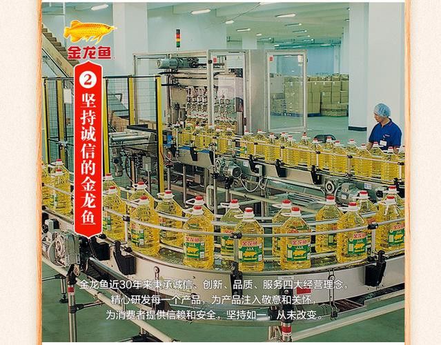 金龍魚四川工廠