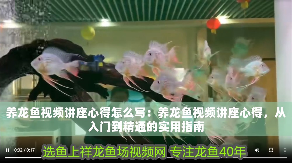 養(yǎng)龍魚視頻講座心得怎么寫：養(yǎng)龍魚視頻講座心得，從入門到精通的實(shí)用指南