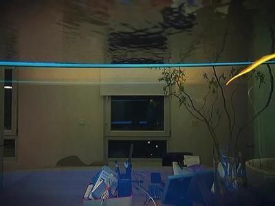 紅龍魚一天吃多少飼料合適：紅龍魚的喂食量取決于它們的生長階段和大小